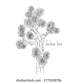 vector illustration joshua tree plant hand line contour   text white background