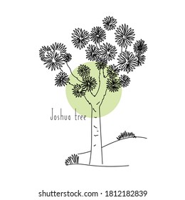 vector illustration joshua tree