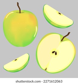 vector illustration juicy apple in green   yellow colors  I used Gradient Mesh in Adobe Illustrator  in the illustration there is whole apple  in the cut    cut into slices  the bones the 