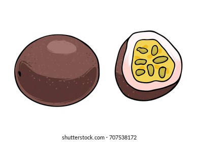 Vector illustration of juicy isolated outline colorful fruit - Passion fruit.