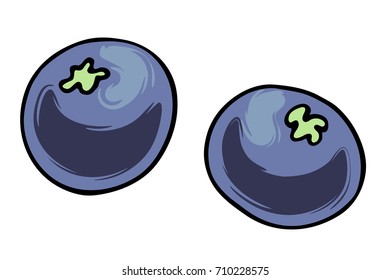 Vector illustration of juicy isolated outline colorful berry- blueberry.
