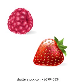 Vector illustration of a juicy raspberry and strawberry with stem in a realistic style isolated on white. Print, template, design element for packaging