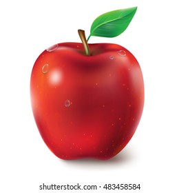 Vector illustration of a juicy red