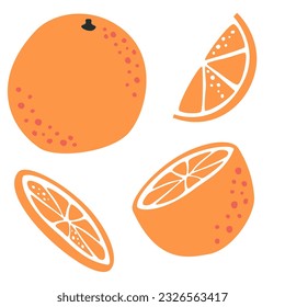 Ilustración vectorial. Jugoso conjunto con naranjas. Naranja entera, cortada, en rodajas. Fruta sobre fondo blanco 