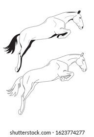 
Vector illustration of a jumping horse