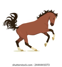 vector illustration of a jumping horse. Isolated on a white background. The theme of equestrian sports, training and animal husbandry
