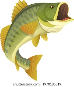 Vector illustration of a jumping largemouth bass fish against a white background.