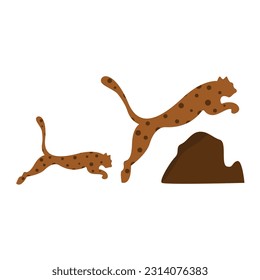 vector illustration of a jumping leopard on a white background