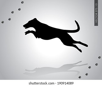 Vector illustration of jumping smooth collie working champion