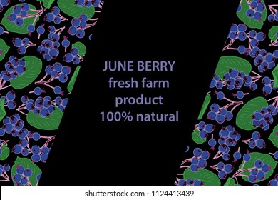 vector illustration of june berry and leaf design background black and berry and text fresh farm product 100% natural EPS10