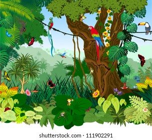 Vector Illustration Jungle with Frog, Toucan, quetzal, humming-birds, butterflies , Ara and flowers