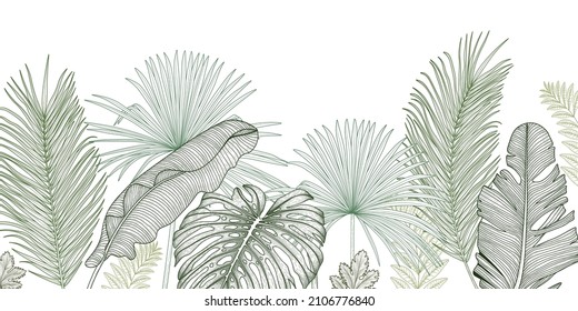 Vector illustration of the jungle. Graphic linear green palm and banana leaves