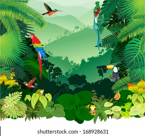 Ilustração vetor floresta tropical selva com sapo, tucano, quetzal, beija-flores e Ara