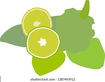 Vector illustration Kaffir lime color