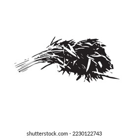 a vector illustration of a kale vegetable