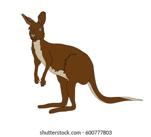 Vector Illustration of Kangaroo