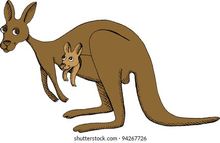 Vector illustration of kangaroo with baby in pouch