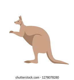 vector illustration.  kangaroo. flat style. profile side.