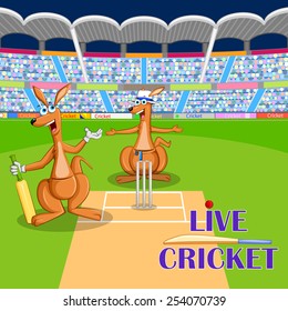 vector illustration of kangaroo playing cricket