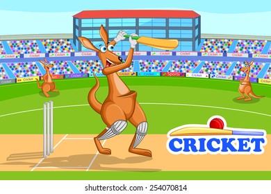 vector illustration of kangaroo playing cricket