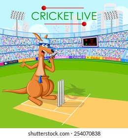 vector illustration of kangaroo playing cricket