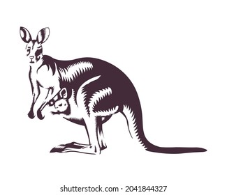 Vector illustration of kangaroo in vintage style isolated on white background