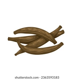 Vector illustration, Kapok buds, also known as marathi moggu, isolated on white background.