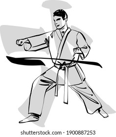 the vector illustration of the karate fighter