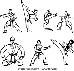 the vector illustration of the karate fighter