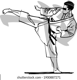 the vector illustration of the karate fighter