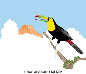 vector illustration of a keel billed toucan ramphastos sulfuratus perched on a branch