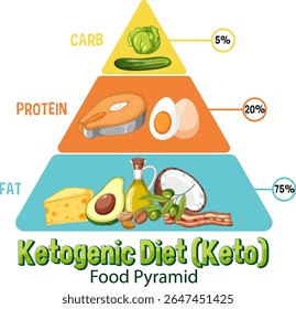 Vector illustration of a ketogenic diet pyramid highlighting fat, protein, and carb proportions with vibrant colors and clear labels