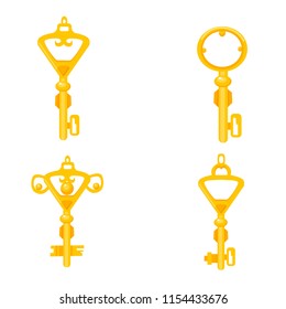 vector illustration key