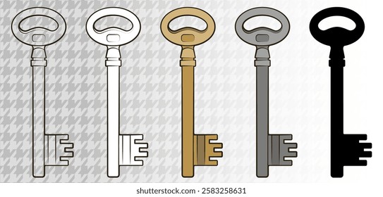 Vector illustration. Key. Icon. Coloring page. Black line. Silver, gold and black.