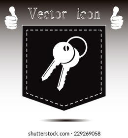 Vector illustration of keys 