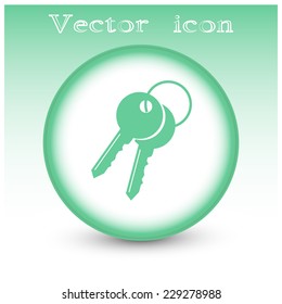 Vector illustration of keys 