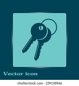 Vector illustration of keys 