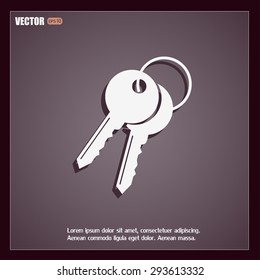 Vector illustration of keys 