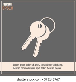 Vector illustration of keys 