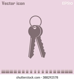 Vector illustration of keys