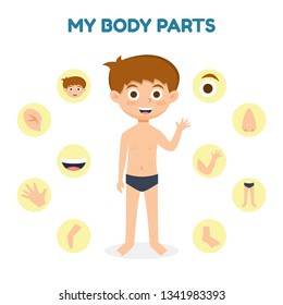 Vector illustration of a Kid Boy with Different Parts of the Body for Teaching. Vector illustration cartoon style.