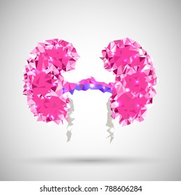 Vector illustration of Kidney internal organ in low poly style. Urology system medicine disease. Future science technology polygonal geometric background.