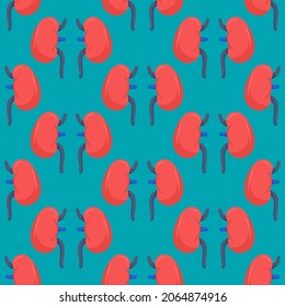 Vector illustration of kidney pattern. Eternal picture of donor body parts.