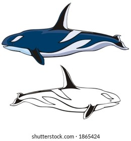 Ilustración vectorial de una ballena asesina.