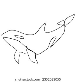 vector illustration of a killer whale