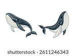 Vector illustration of a killer whale, Isolate file