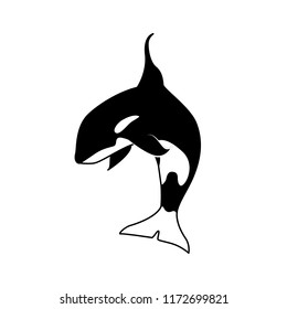 vector illustration killer whale - on the white background

