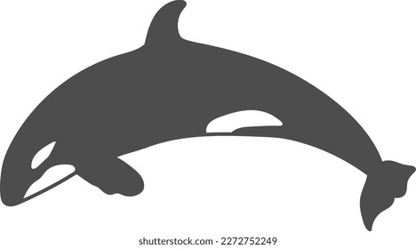 Vector illustration of a killer whale. Sea animal. ocean creatures.