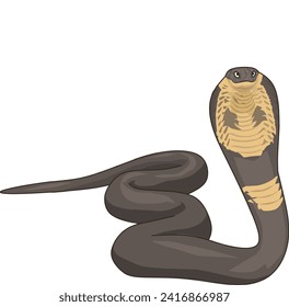 Vector illustration of a King Cobra snake