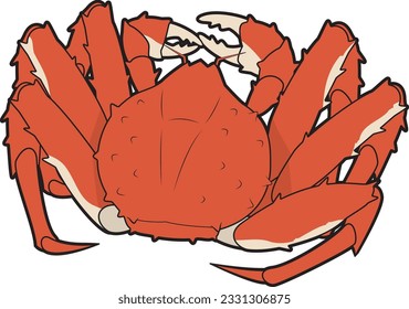 Vector illustration of king crab